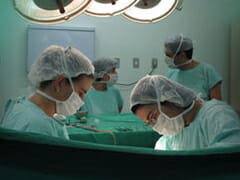 Beenmergtransplantatie
