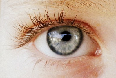 Binoculair zien