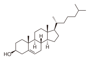 Cholesterol Cholesterol