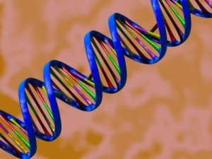 DNA-structuur