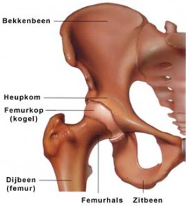 Dijbeen Dijbeen