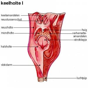Keelziekten