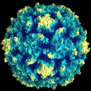 Polio
