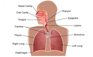 Respiratore aandoening