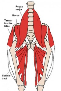 Tensor fascia lata