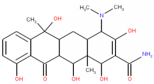Tetracycline Tetracycline