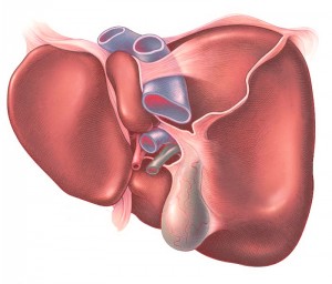Toxische hepatitis