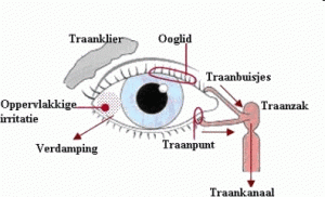 Traanapparaat Traanapparaat