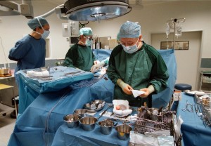 Transplantatie Transplantatie