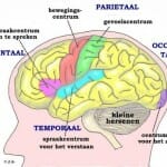 Wat te doen tegen toevallen Wat te doen tegen toevallen