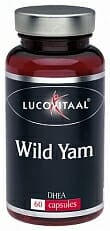 Wild Yam