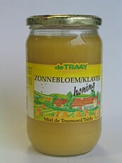 Zonnebloem