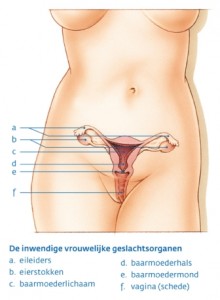 afscheiding