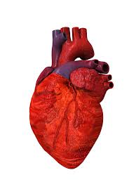 endocarditis