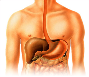 levertumor