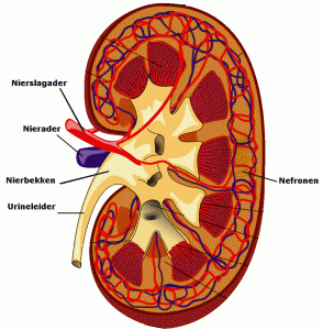niervergiftiging