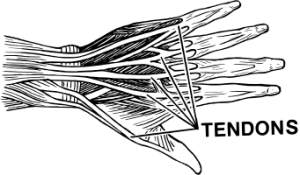 pezen