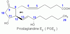 prostaglandines