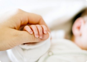 reflex van baby reflex van baby